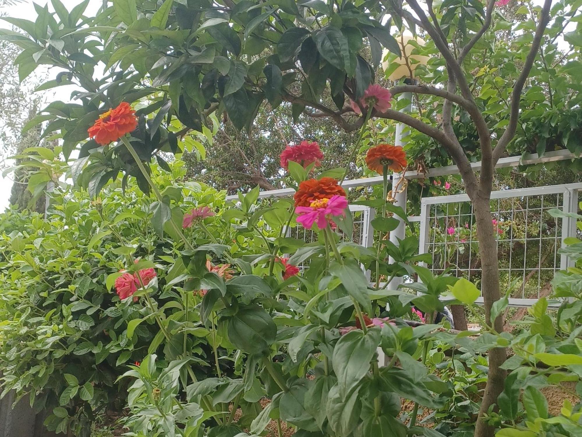Garden Rooms Химара Экстерьер фото